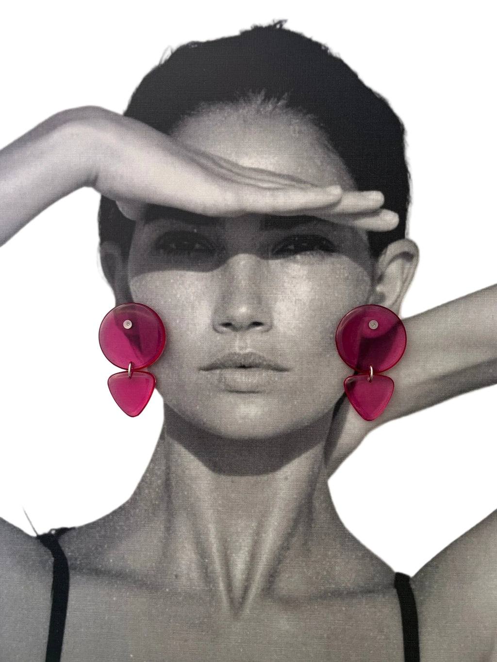 Sylvie Danglers - SHIVAANI VAISHNAVI